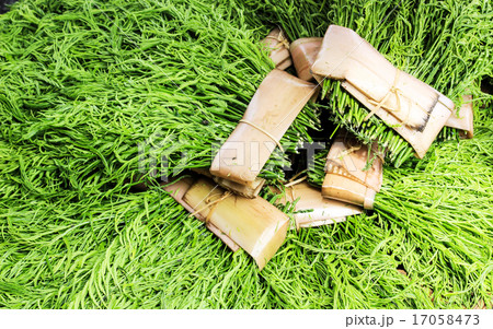 Acacia pennata or cha-om with banana bandle 17058473