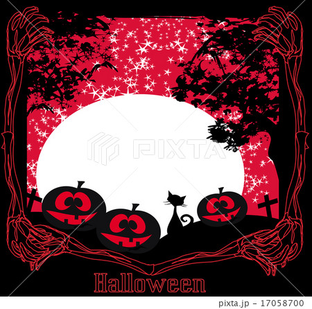 cat on cemetery 17058700