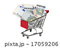 Shopping cart with euro isolated on white 17059206
