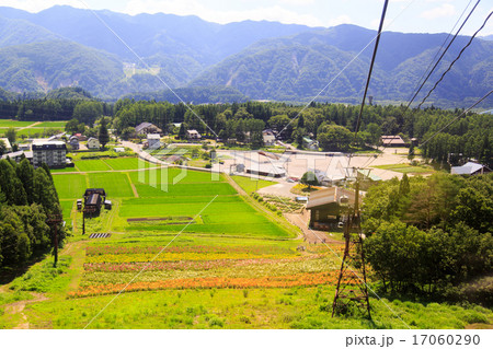 岩岳ゆり園とゴンドラ5の写真素材