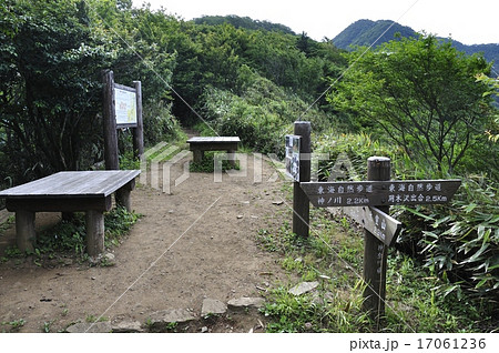 犬越路 犬越路 17061236