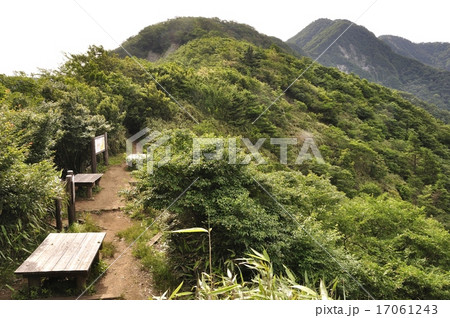 犬越路から檜洞丸への尾根 犬越路から檜洞丸への尾根 17061243