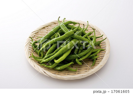 甘長とうがらし 17061605