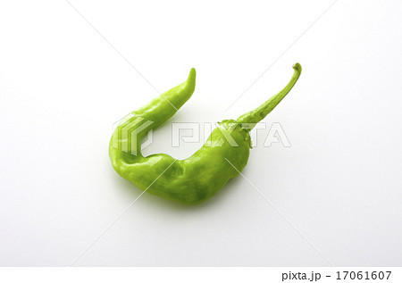 甘長とうがらし 17061607