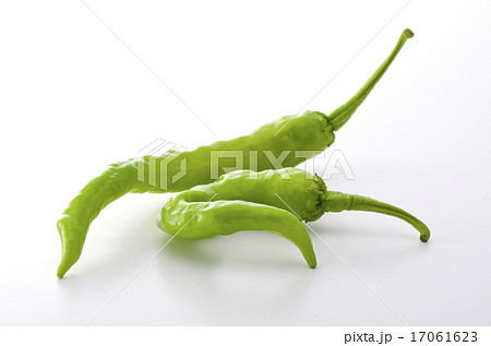 甘長とうがらし 17061623