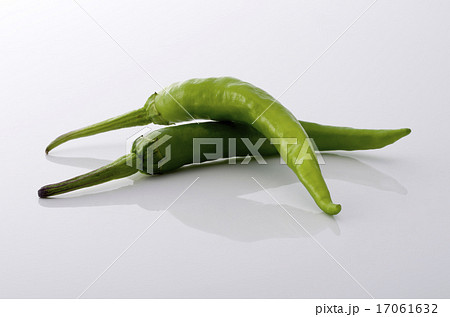 甘長とうがらし 17061632