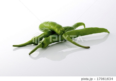 甘長とうがらし 17061634