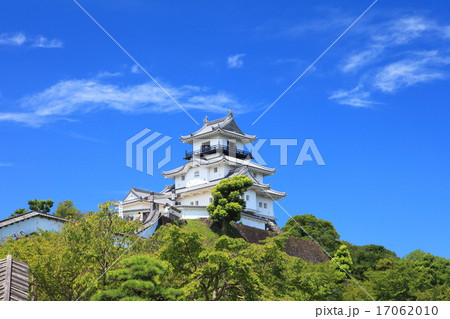 掛川城 掛川城 17062010