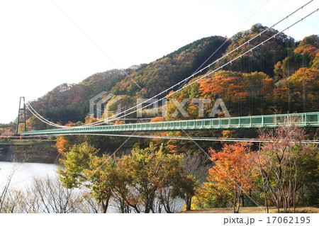 紅葉のもみじ谷大吊橋 17062195
