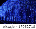 青のイルミネーション 17062718