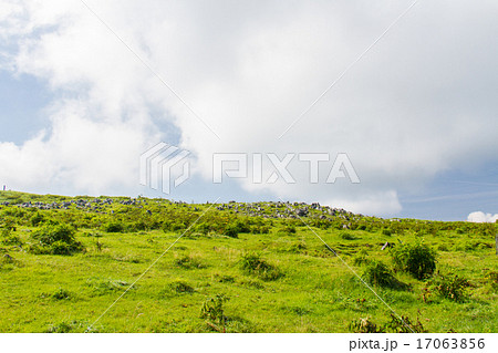 愛媛県　四国カルスト　五段高原の風景 17063856