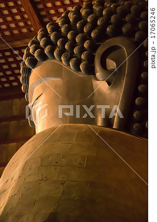 奈良の大仏・横顔 奈良の大仏・横顔 17065246