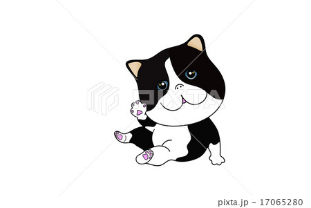 猫 17065280