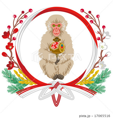 ニホンザルと水引き飾り　申年　年賀状素材 17065516