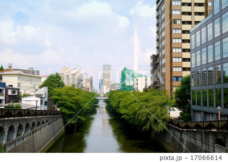 目黒新橋から見た夏の目黒川(8月)東京都目黒区 目黒新橋から見た夏の目黒川(8月)東京都目黒区 17066614