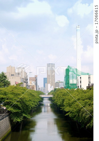 目黒新橋から見た夏の目黒川(8月)東京都目黒区 目黒新橋から見た夏の目黒川(8月)東京都目黒区 17066615