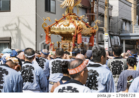水掛け祭り 水掛け祭り 17066728