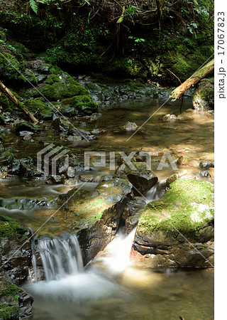 鴨川源流 17067823