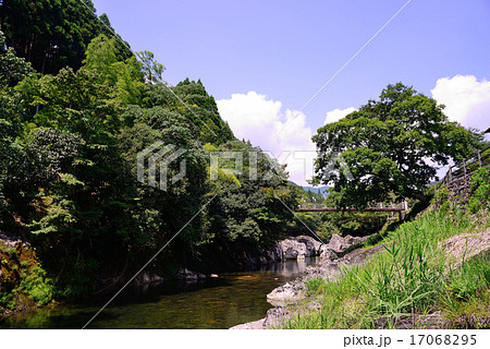 猿飛千壷峡 17068295