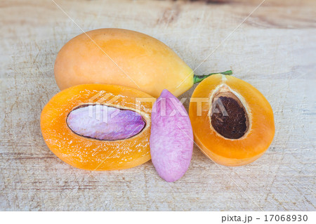 Close up marian plum 17068930