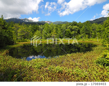 乗鞍高原　牛留池 17069403