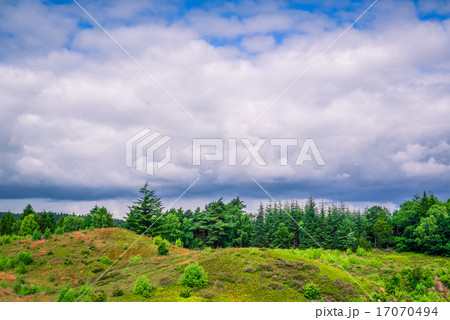 Cloudy weather over green trees Cloudy weather over green trees 17070494