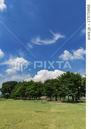 青空と木々 17070866