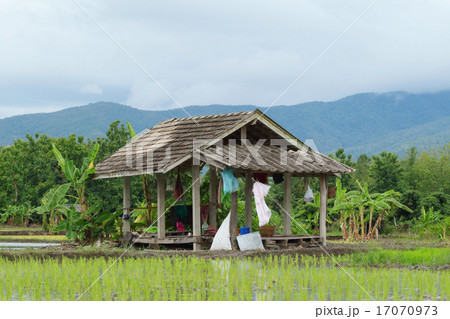 The farmer's hut The farmer's hut 17070973