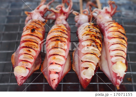Grilled squid 17071155