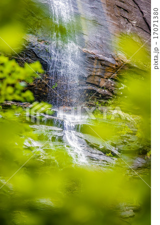 hickory nut waterfalls during daylight summer 17071380