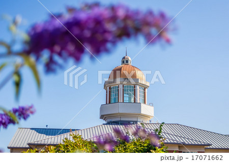 modern and historic architecture at college campus modern and historic architecture at college campus 17071662