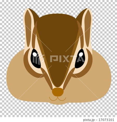 Chipmunk Chipmunk 17073101