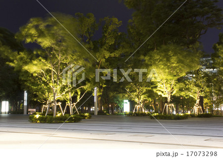 中野四季の森公園の夜 17073298