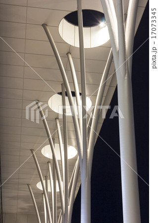 明治大学中野キャンパスの夜 明治大学中野キャンパスの夜 17073345