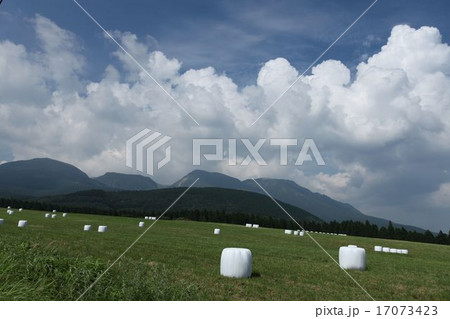 夏の高原 夏の高原 17073423
