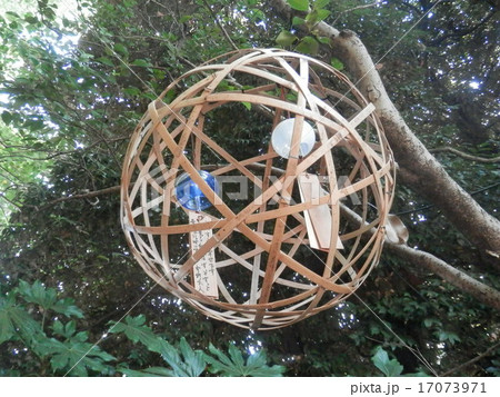 竹毬の写真素材