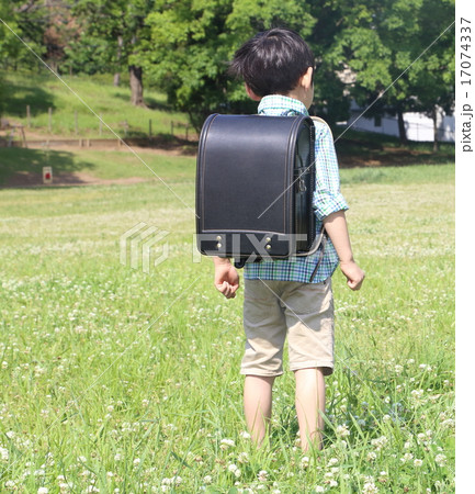 ランドセルを背負った男の子（後ろ姿） 17074337