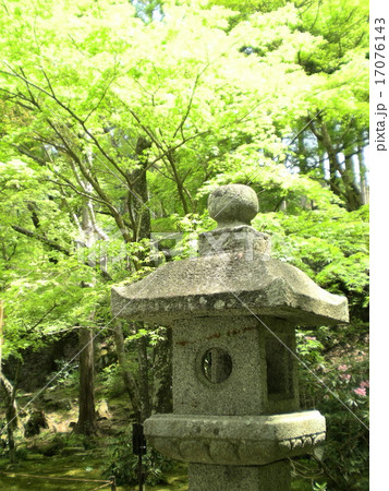 新緑の中の石灯籠 17076143