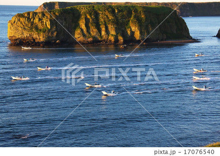 コンブ漁 17076540