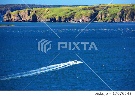 コンブ漁 17076543