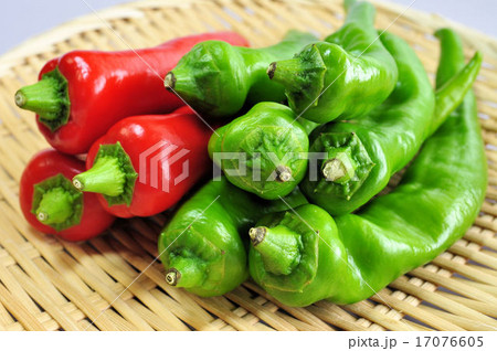 万願寺とうがらし 万願寺とうがらし 17076605