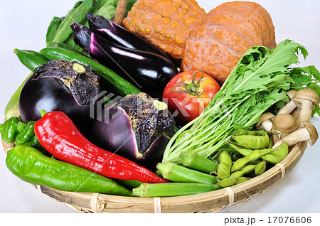 夏の京野菜集合 17076606
