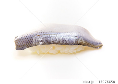 おいしいコハダ握り おいしいコハダ握り 17076650