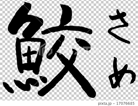 刷字母鯊魚 17076685