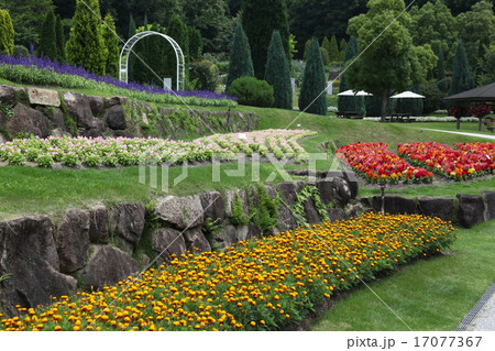 ボーダーガーデン 17077367