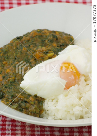 ホウレン草カレー 17077378