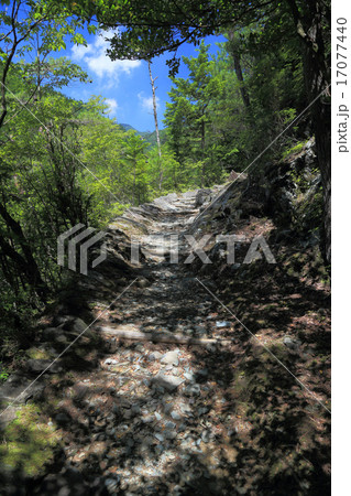 日浦登山口から入る、別子銅山の足谷川沿いの道 日浦登山口から入る、別子銅山の足谷川沿いの道 17077440