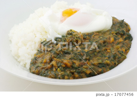 ホウレン草カレー 17077456