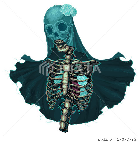 Skeleton with veil and white roses 17077735