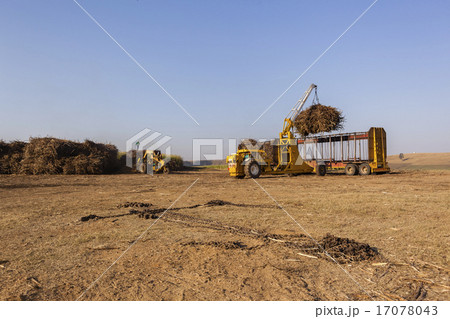 Farm Harvest Crops Loading 17078043